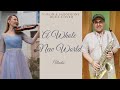 A WHOLE NEW WORLD - sax & violin duet cover by ALEXANDRA & PACO