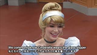 シンデレラに２年ぶりに会った!! Meeting Cinderella after 2 years Disneyland Tokyo ディズニーランド・グリーティング