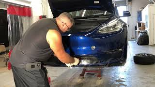 Suntek PPF Tesla Model Y Bulk Wrap Front Bumper Start to Finish