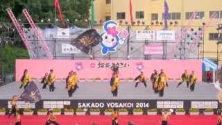 魅　in　坂戸よさこい　2014