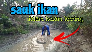 [Episod1106] sauk ikan dalam kolam kering di kebun abah