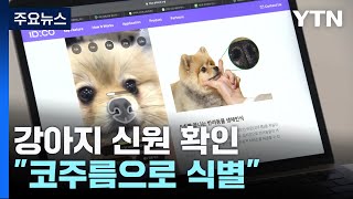 사람 지문처럼 코주름으로 강아지 신원 확인한다 / YTN