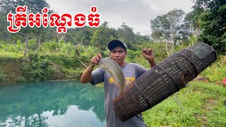 ត្រីអណ្ដែងទឹកសាបឡើងច្រើននៅខែវស្សានេះហើយ Catfish in rainy season is so fresh/Bong LaorTV