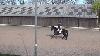 Prelim 13 - 75.17% Full Winning Dressage Test