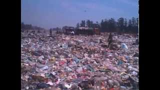 Recycling big business down in Zimbabwe's dumps