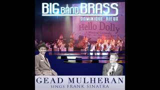 Big Band Brass, Dominique Rieux, Gead Mulheran - The Lady Is a Tramp (Live)