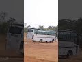 thadikkaran bus viral vidio