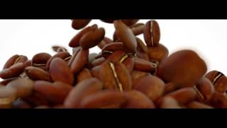 GANO EXCEL Hazelnut Coffee video