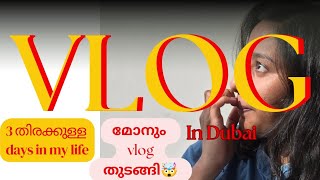 നിങ്ങളുടെ weekends ഇങ്ങനാണോ? The busy weekend days in my life in Dubai Malayalam