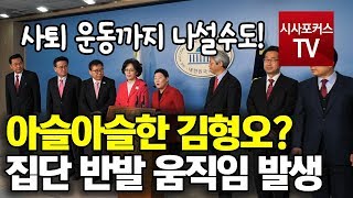 김형오 체제 \