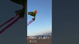 X-Kite FLYING ACEで凧揚げ、よく揚がりました。