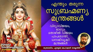 ഏന്തും നടത്തിത്തരുന്ന സുബ്രഹ്മണ്യ മന്ത്രങ്ങൾ |  തൊഴിൽ നേടാൻ സുബ്രഹ്മണ്യ മന്ത്രം | Skanda Shashti