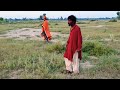 cobra snake bite the snake charmer while he is performing traditional snake catching skills