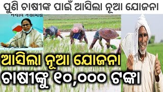 ଏଣିକି ଚାଷୀ ମାନଙ୍କୁ ବର୍ଷକୁ ମିଳିବ -୧୦,୦୦୦ ଟଙ୍କା / ଦିଦି କିଷାନ ବନ୍ଧୁ ଯୋଜନା / Kaila yojana , PM kisan RS