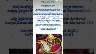 శ్రీ శివ పంచాక్షరీ స్తోత్రం #shiva #lordshiva #devotional #pdf