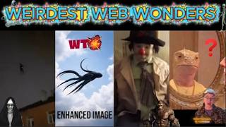 WEIRDEST WEB WONDERS VOL 60