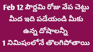 Feb 12 పౌర్ణమి రోజు వేప చెట్టు మీద ఇది పడేయండి 1నిమిషంలోనే దరిద్రం అంతా తొలగిపోతుంది