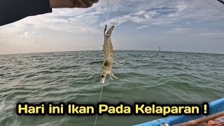 FISHING IN THE AFTERNOON,,!! FISH ARE VERY GREEDY TO EAT..!!