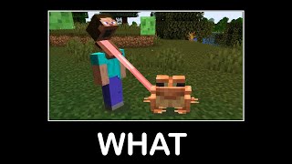 Wait What Minecraft Memes #23