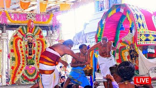 சீர்காழி அருள்மிகு சட்டநாதர் சுவாமி  கோவில் திருமுலைப்பால் திருவிழா  sirkali Thirumulaipaal live