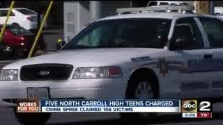 Teens arrested involved with crime spree