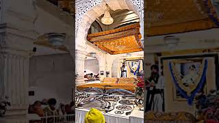 golden temple #india #amritsar #2023 #youtubeshorts