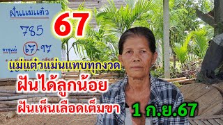 67 ฝันได้ลูกน้อย ฝันเห็นเลือดเต็มขา แม่แต๋วแม่นแทบทุกงวด 1ก.ย.67