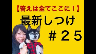 【最新しつけ講座】「歩かない！」なんて言わせません！ワンコも飼い主も楽しめてしまう 最新のお散歩の仕方とは？