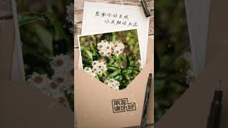 感谢你的出现，让我们彼此认识