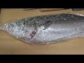 【カゴ釣り】2021年秋・カゴ釣りでヒラマサを狙う！【料理は胡麻ダレの刺身】