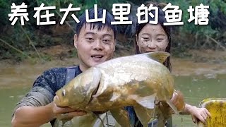 【戶外捕魚vlog】花2800包下一口養在大山裏面的魚塘，塘裏不僅魚多岸邊貨也不少！ #三農