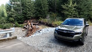 【新車試駕】全新森林人 安全性更高 2025 Subaru Forester Touring