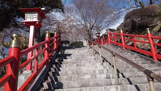 4K Walk in Japan - Orihime Shrine [ 足利織姫神社 ]