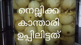 കടയിൽ കിട്ടുന്നതു പോലെ രുചികരമായ നെല്ലിക്ക- കാന്താരി ഉപ്പിലിട്ടത്( Episode 47)