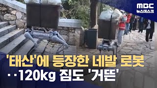 중국 태산 오르내리는 네발 로봇‥120kg 짐도 거뜬 (2024.10.22/뉴스데스크/MBC)