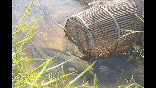 Amazing Fishing Videos Catch A lot Of Fish By Basket Fish Trap - Traditional Net Fishing Trap Part01