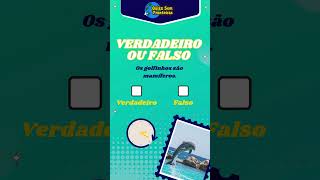 🐬 Quiz Verdadeiro ou Falso: Você Sabe a Resposta? 🤔✅❌ | Teste Seus Conhecimentos | QI 🤯