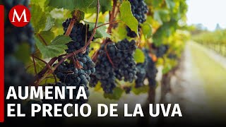 Venta de uvas cae en CdMx por aumento de precios