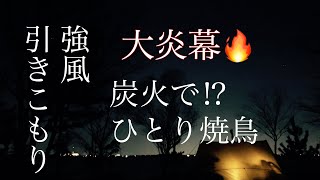 【ソロキャンプ】大炎幕【強風】引きこもり、ひとり焼鳥