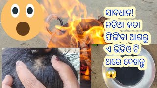 ସାବଧାନ! ନଡ଼ିଆ କତା ଫିଙ୍ଗିବା ଆଗରୁ ଏ ଭିଡିଓ ଟି ଥରେ ଦେଖନ୍ତୁ