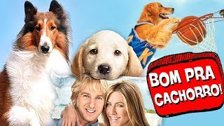 8 Cachorros MAIS LEGAIS do CINEMA! 🐶 ♥