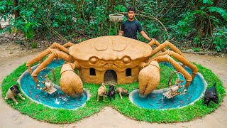 Build Dog House for Puppies in the Crab mud house surrounded by fish pond