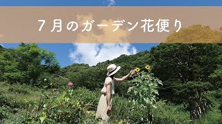 7月の花便り／熱海　ACAO FOREST(アカオハーブ＆ローズガーデン)【公式】