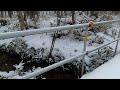 柴犬ポン太と雪の山道をスノーシューでラッセル！！精進川合流地点