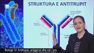 Biologji 12 - Antitrupat, antigjenet dhe roli i tyre.