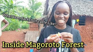 INSIDE MAGOROTO FOREST (AFRICA'S BALI) - HIKING \u0026 STAYCATION