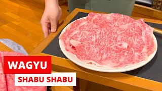 Wagyu Shabu Shabu in Tokyo | Japan EP4