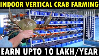 Indoor Vertical Crab Farming | Modern Mud Crab Farming Business