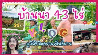 บ้านนา EP.1 | บินเดี่ยวกลับบ้าน พาทัวร์บ้านนา 43 ไร่ ดูวิถีชีวิตความเป็นอีสาน