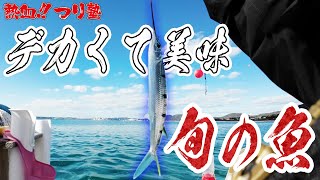 旬な魚はデカくて美味い！！